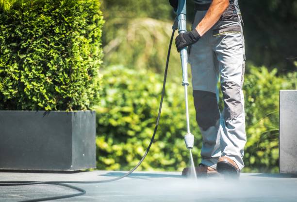 Best Paint Preparation  in Alliance, OH